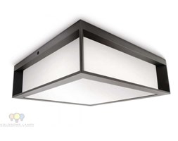 Lampa PLAFON Philips Skies 17184/93/16