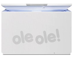 Zamrażarka Electrolux EC3201AOW