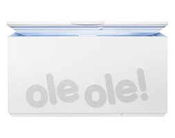 Zamrażarka Electrolux EC5231AOW