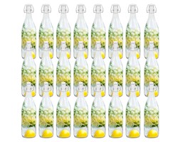 vidaXL Szklane butelki z zamknięciem pałąkowym, 24 szt., 1 L