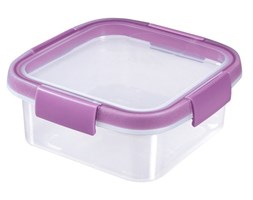 Pojemnik Smart Fresh 0,9L Curver