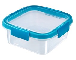 Pojemnik Smart Fresh 0,9L Curver