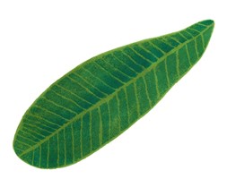 Dywanik Abyss & Habidecor Feuille Green