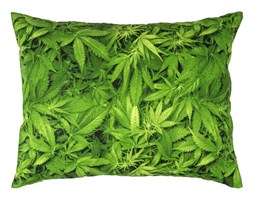 Poszewka na poduszkę Aromatica